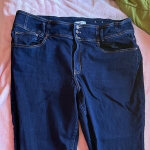 Lane Bryant Navy Denim Jeans